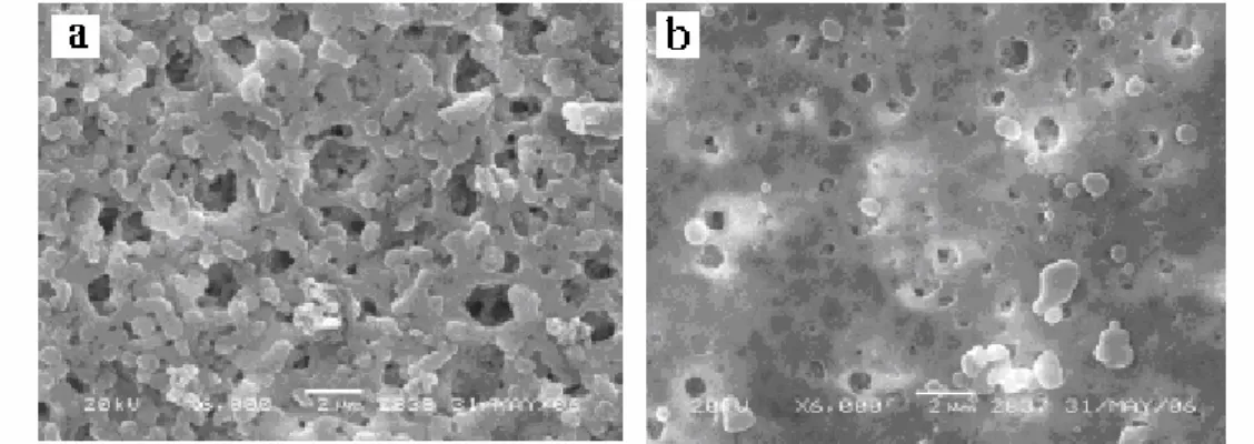 Figure 1:  SEM images of (a) blank CA membrane and (b) CA-MIP membrane. 