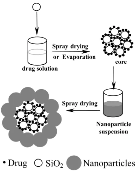 Figure 1: Schematic preparation of DicOH- or DicONa-loaded nanoparticle-coated   microparticles