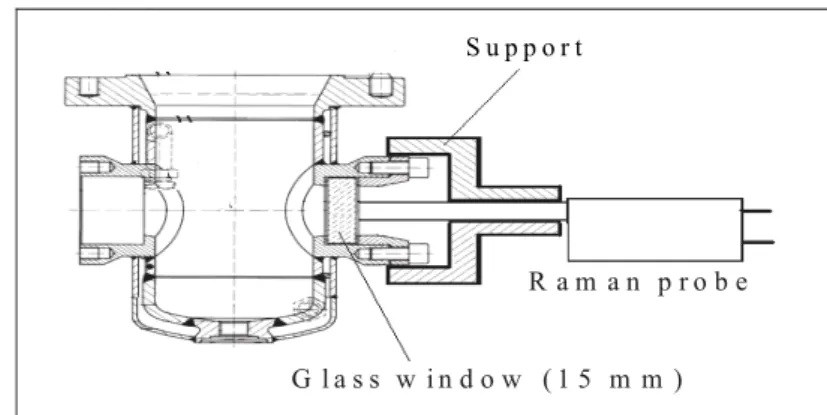Figure 1: Illustration of the Raman probe connected to the reactor window. 