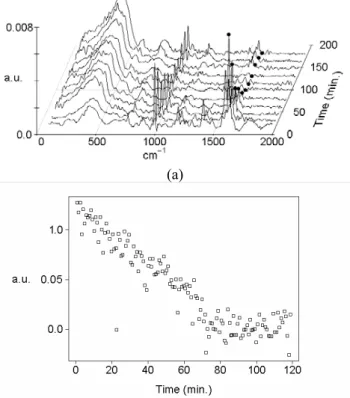 Figure 5: (a) Spectra collected during the suspension polymerization reaction, dots correspond to the band due  to the stretching of the double bond; (b) Area corresponding to the C=C double bond stretch