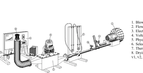 Figure 2: Experimental apparatus of the fixed bed dryer (Silva, 1997). 