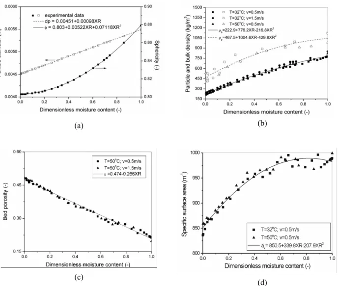 Figure 4: Structural properties during packed bed drying of mucilaginous seeds. 