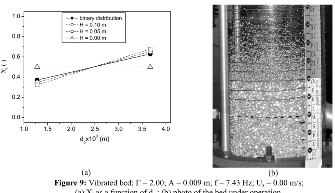 Figure 9: Vibrated bed; * = 2.00; A = 0.009 m; f = 7.43 Hz; U s  = 0.00 m/s;  