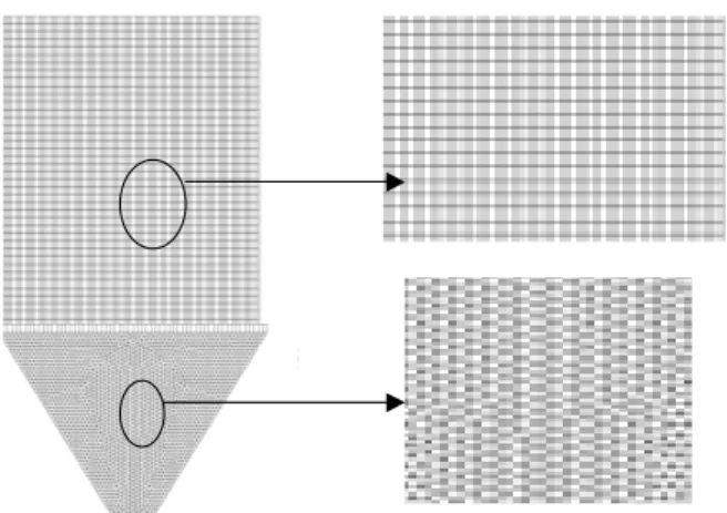 Figure 2: Typical mesh adopted in this work 