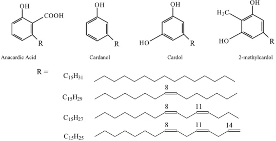 Figure 1: Structure of the constituents of CNSL 