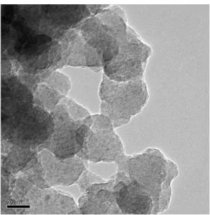 Figure 7: TEM image of the silica adsorbent   CONCLUSIONS 