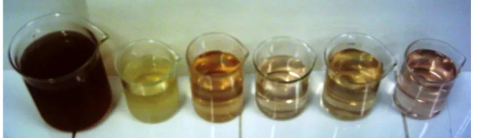 Figure 6: Effect of the variation of the current density (from left to right – raw effluent;  