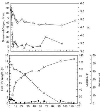 Figure 9: Aerobic growth of K. marxianus in  lactose-added whey, plus Mg 2+ , Fe 2+  and pantothenic  acid
