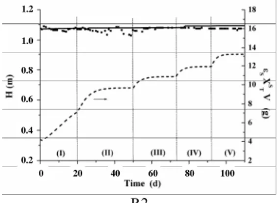 Figure 5: Experimental and predicted values of  the bed height and predicted values of the 