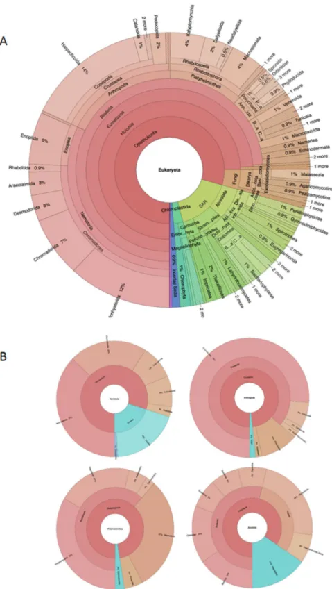 Figure 4.  Krona graphical representation of the relative taxonomic contributions (OTU percentages) of  the main eukaryotic (A) and meiofauna representatives (B) found at Rothera Peninsula sampled sites, using  taxonomic assignment from SILVAngs 1.5 databa