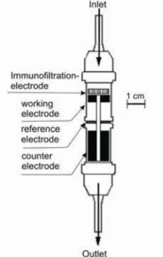 Figure 4: Different prototype design of amperometric immunosensors proposed in the literature  Another immunosensor modality considers the use 