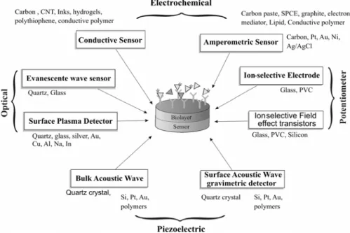 Figure 3: Various Immunosensor configurations  Immunosensors of wider use are currently those 