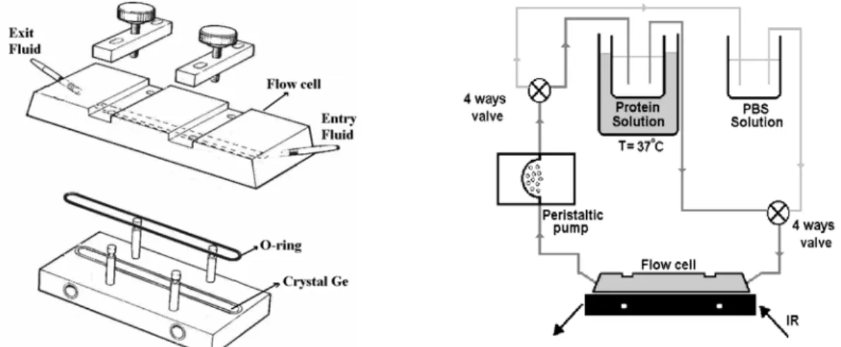 Figure 2 shows the continuous flow cell with the  ATR crystal used in the experiments
