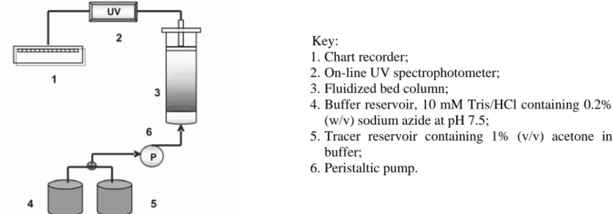 Figure 1: The experimental configurations for the study of RTD experiments 
