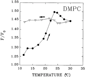 FIGURE 3 Binding of a-hemolysin to bilayers composed of binary phospholipid mixtures DMPC/DSPC