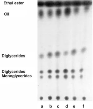 Figure 1: TLC plate indicating the positions of ethyl esters, triglycerides, diglycerides   and monoglycerides