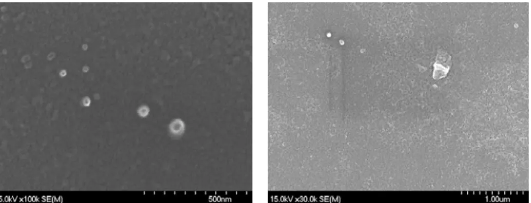Figure 2: SEM of chitosan nano-particles. The size of chitosan    nano-particles (60 nm) can be measured by the ruler in Figure 2