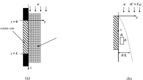 Figure 1 sketches a section through a packed bed  along which liquid is flowing, close to a flat wall,  part of which (0<  z< L) is slightly soluble