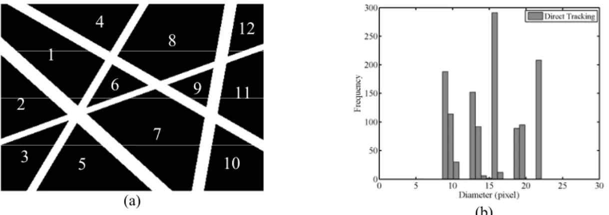 Figure 4: a) The labeled simulated image, b) Histogram of fiber   diameter distribution obtained by direct tracking method 
