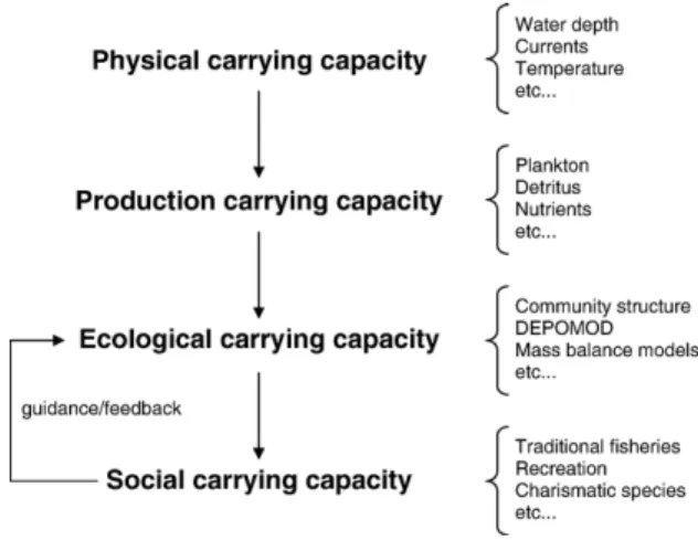 Fig. 1. Hierarchical structure to determine carrying capacity of a given area. Note that social carrying capacity feeds back directly to  ecolo-gical carrying capacity to provide guidance to choose pertinent response variables to measure.