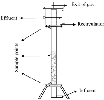 Figure 1: Schematic of a fluidized bed reactor 