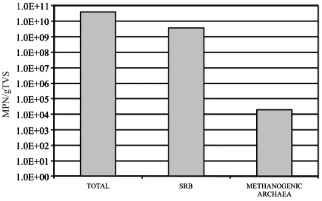 Figure 4: Microbial group 