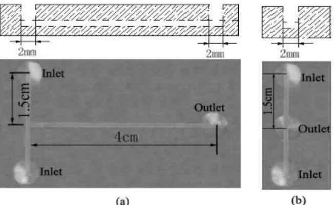 Figure 1: The rectangular microchannel chip. (a) with two-phase mixing section; (b) without two-phase  mixing section 