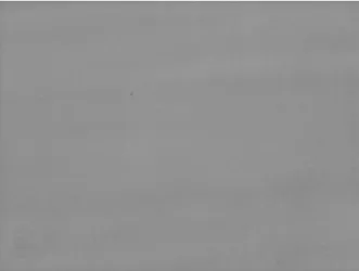 Fig. 9 presents a digitalized image, obtained by  optical microscopy, of the recovered oil sample C1,  from which one can verify that the sample C1 is clean  and free of suspended particles, a fact that confirms the  efficiency of the process for eliminati