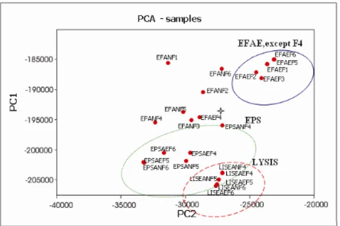 Figure 8: Principal components analysis (PCA) of mass  spectrometry results for aerobic and anaerobic samples  (AF – influent; EF – effluent; AE – aerobic; AN –  anaerobic; EPS – extracellular polymeric substances; 