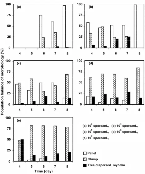 Figure 1: The effect of the initial spore concentration on the proportion of  morphological growth forms in cultures of S