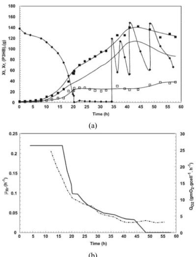 Figure 2: Profile of high cell density culture B :  (a) total biomass (Xt) ( ■ ), residual biomass  (Xr) (-), poly(3-hydroxybutyrate) (P(3HB)) ( □ ), carbon source (S) (♦); (b) specific growth  rate (μ Xr ) (-), and specific oxygen uptake rate (Q O2 ) (-.-