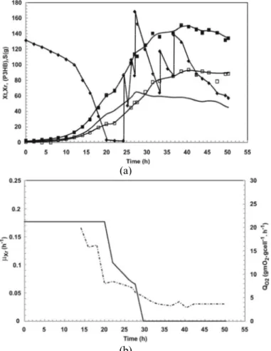 Figure 3: Profile of high cell density culture C :  (a) total biomass (Xt) ( ■ ), residual biomass (Xr) (-),  poly(3-hydroxybutyrate) (P(3HB)) ( □ ), carbon source (S) (♦); (b) specific growth rate (μ Xr ) (-),  and specific oxygen uptake rate (Q O2 ) (-.-