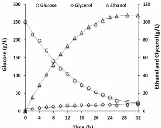 Figure 4: Kinetic profile of enzymatic hydrolysis of  sorghum grains under the best conditions (α-amylase: 