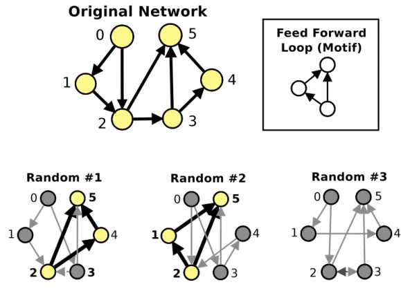 Figure 2.1: Motif example in a directed network. Picture taken from [25]