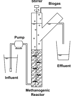 Figure 1: Experimental set-up of the UASB reactors  Textile Wastewater 