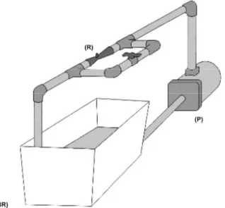 Figure 1: Scheme of batch reactor and recirculation loop with Venturi injector 