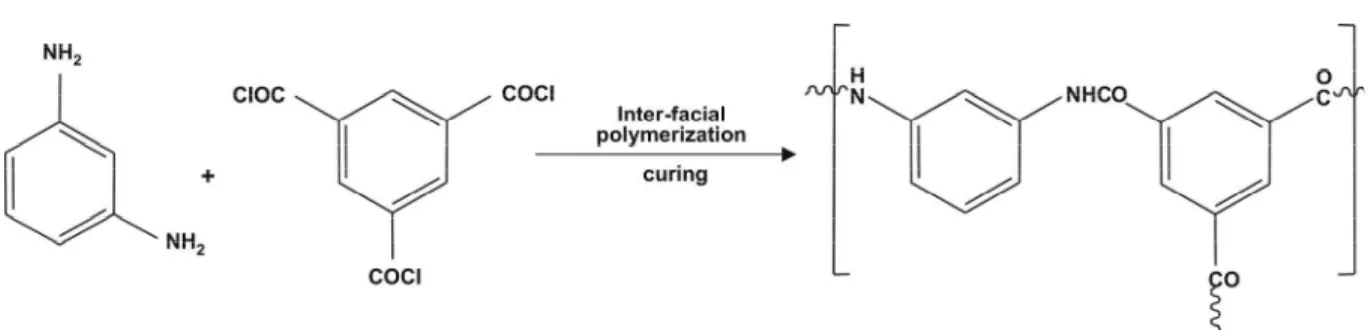 Figure 2: Interfacial polymerization reaction of 1,3-phenylene diamine and 1,3,5-trimesoyl chloride