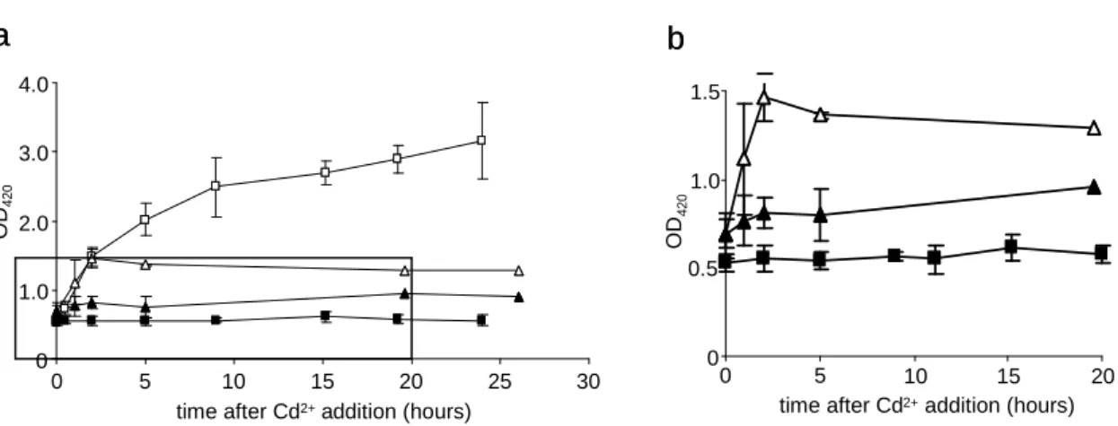 Figure  3.1  Effect  of  30  µg . mL -1   cadmium  on  wild-type  cell  growth  in  aerobic  and  fermentative conditions: aerobic untreated (open square), aerobic Cd-treated (filled square),  fermentative  untreated  (open  triangle)  and  fermentative  C