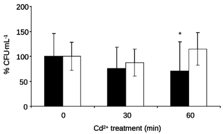 Figure 3.2 Effect of 30 µg . mL -1  cadmium on culturability of cultures in aerobic  (filled  bars)  and  fermentative  conditions  (open  bar)