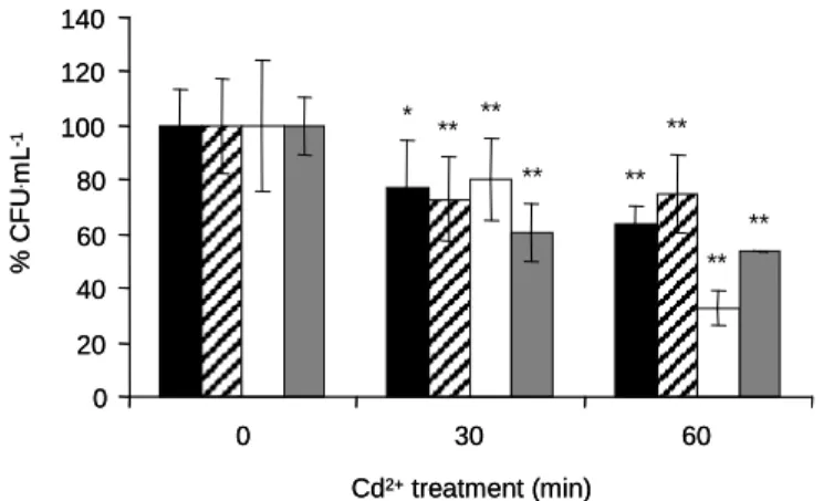 Figure 3.4 Effect of 30  µg . mL -1  cadmium on culturability: wild-type BW25113  (filled  bar),  ∆ubiE  (diagonal  stripe  bar  –  results  with  this  strain  will  be  used  later  in  this  work),  ∆gshA  (open  bar),  ∆gshB  (grey  bar)