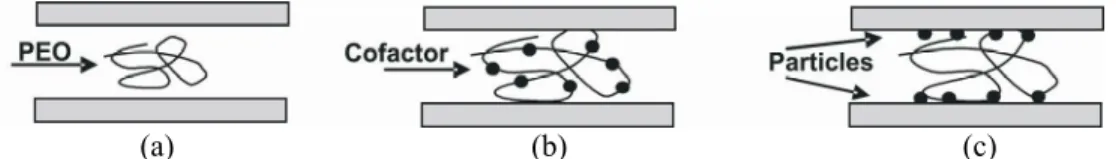 Figure 1:  Association-induced  polymer  bridging:  a)  flexible  chain  does  not  adsorb  onto  surfaces;           