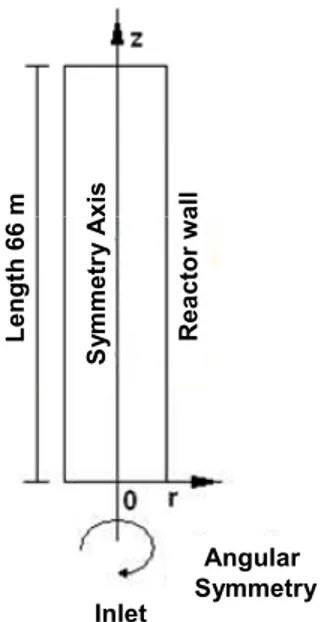 Figure 2: Two dimensional radial and axial geometry  model with angular and centerline symmetry for a  tubular reactor with constant cross-section