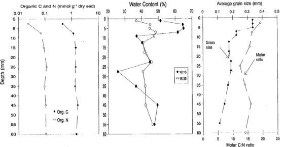 Fig.  2.  Physical  characterization  of  the  sediment  particles.  Local  depth  variation  of  organic  C  and  N  content  and  molar  C : N  ratio,  compared  with  the  average  grain  size  depth  profile