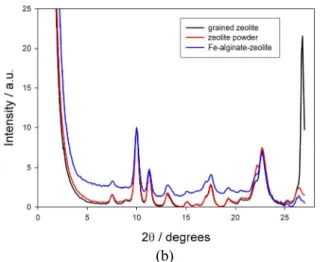 Figure 8: SAXS pattern of zeolitic biosorbent: (a)  intensity versus scattering vector q in nm; (b)  intensity versus scattering angles 2 Θ  