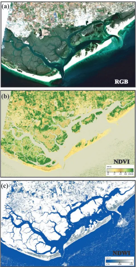 Figure 10.4 shows an example of a Sentinel-1A image where wetland area within the RF lagoon can be observed.
