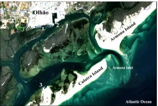 Figure 10.6 shows a satellite image where it is possible to map different economic activities in the RF based on locating various facilities within and around the lagoon including areas for sailing, fisheries and is also identifying the traffic of boats du