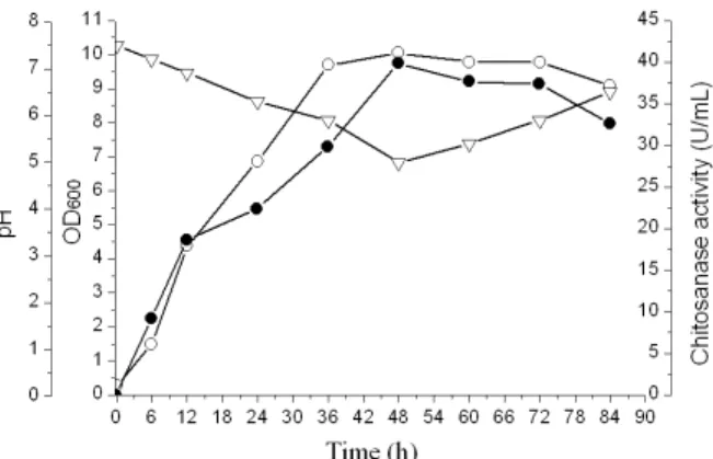 Figure 4: Pro ﬁ les of chitosanase production in  shake- ﬂ ask experiments using the optimized medium