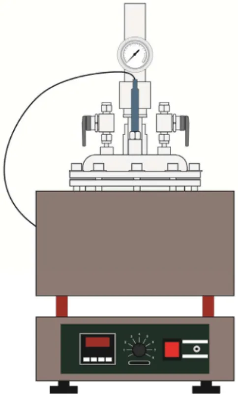 Figure 2: Heating system with temperature controller  and mechanical agitator. 