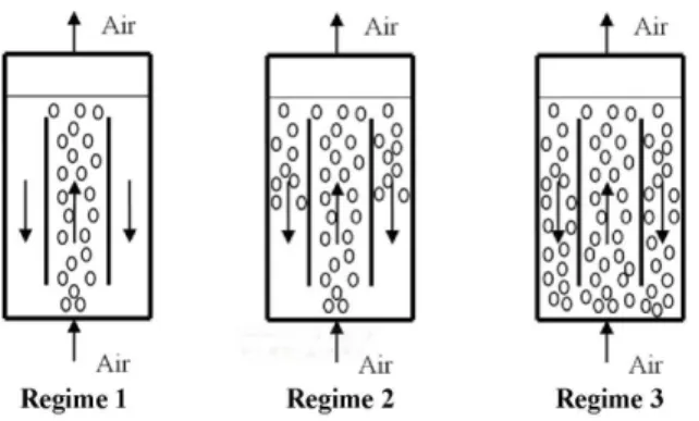 Figure 1: Circulation regimes in an ILALR versus  the presence of gas bubbles in the downcomer