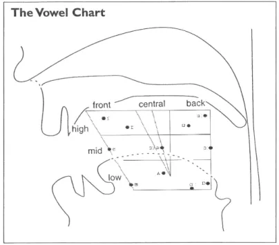 Figura 1.5: Tabela de posição da articulação das vogais: carta quadrilátera 26